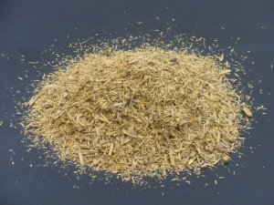 Ptychopetalum Olacoides (Muira Puama / Potency Wood) Wildcrafted Shredded Herb