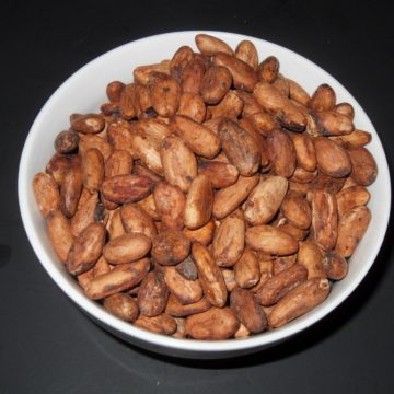 Theobroma Cacao (Chocolate) Dried Cocoa Beans