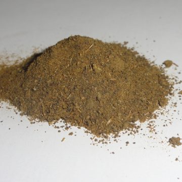 Calea Zacatechichi (Dream Herb) 10:1 Powder Extract
