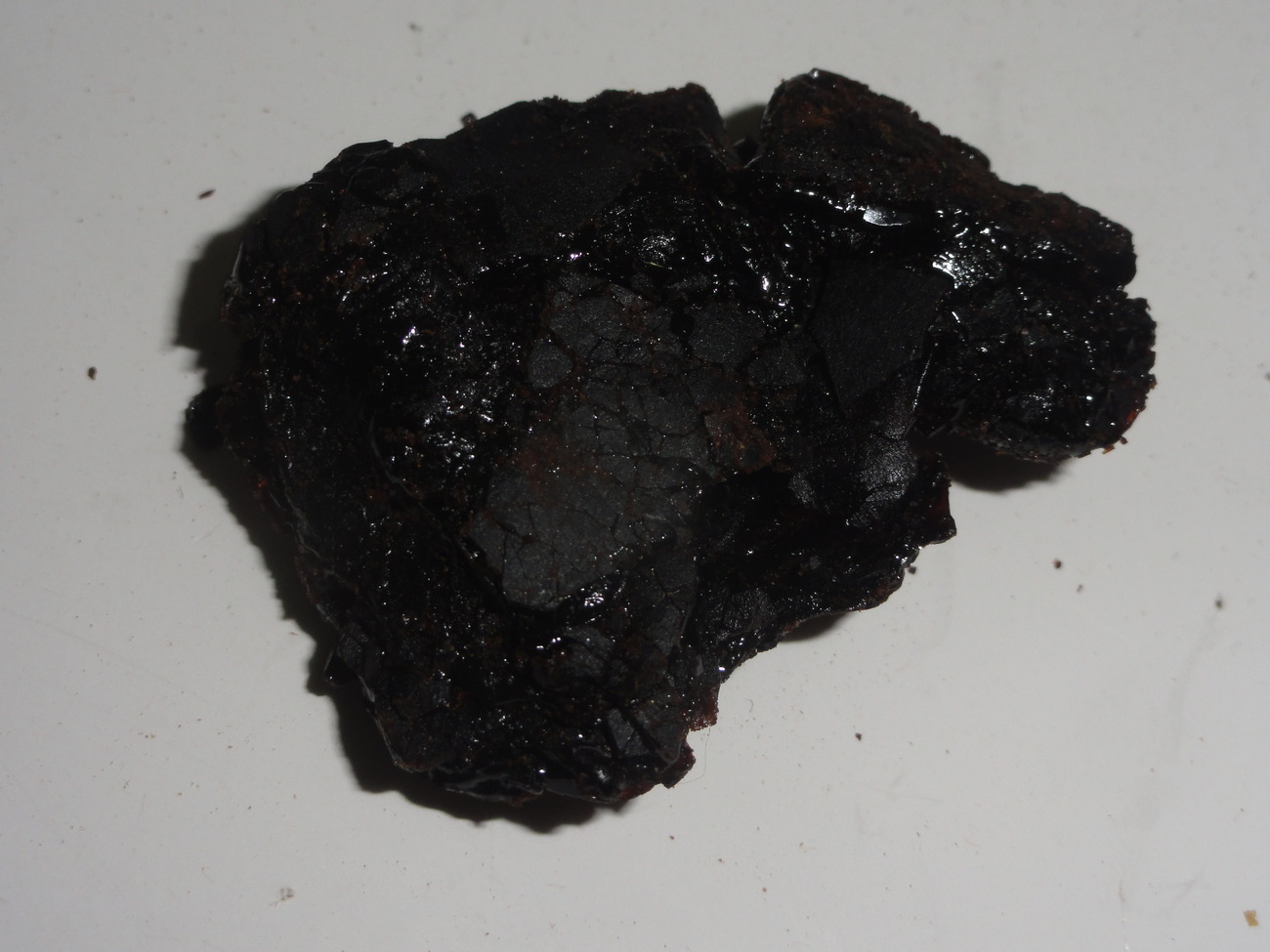 Erythrina Mulungu 90% Alkaloidal Resin Extract 1 | World Seed Supply