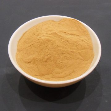 Paullinia Cupana (Guarana Seed) 5X Powder Extract