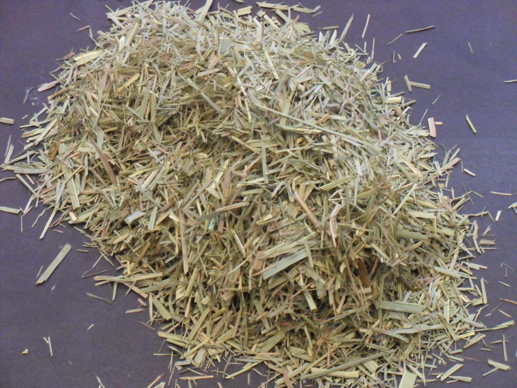 Cymbopogon Citratus (West Indian Lemon Grass)
