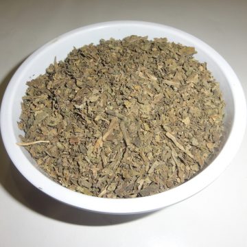 Lobelia Inflata (Indian Tobacco) Foliage