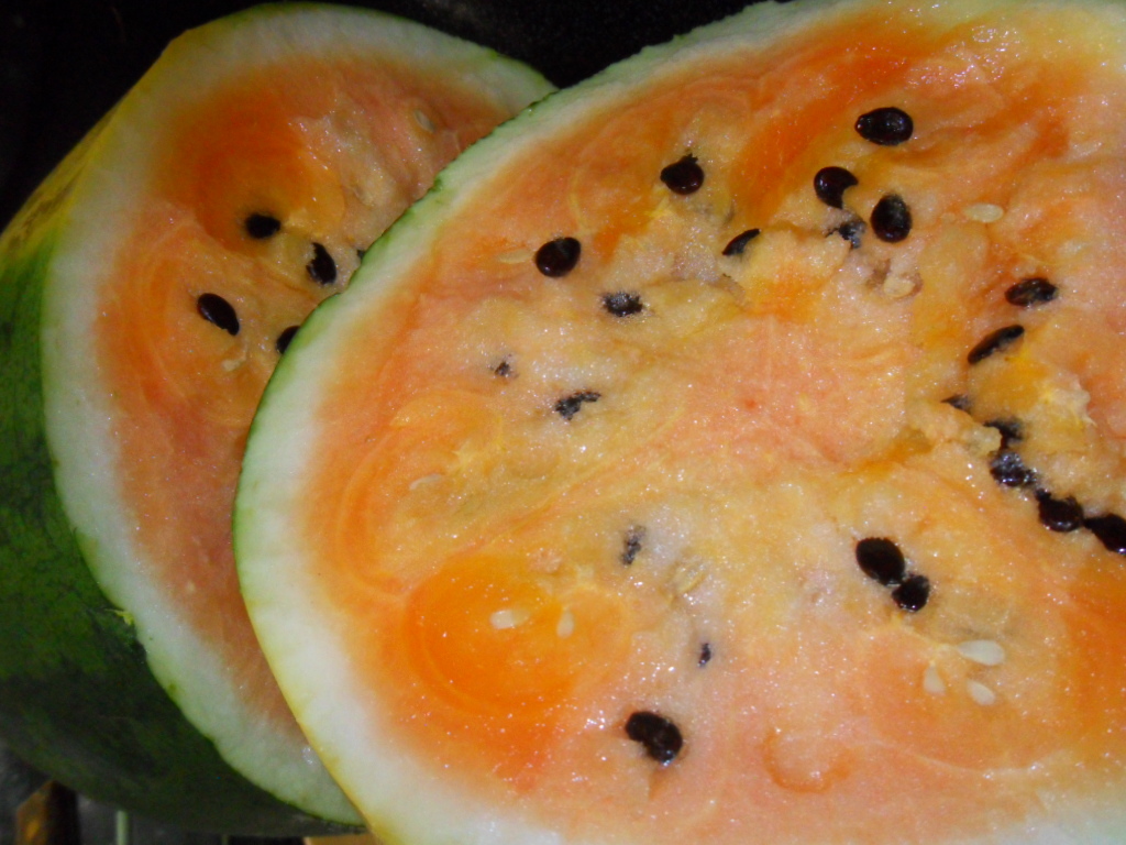 Citrullus Lanatus (Orange Watermelon) Seeds World Seed Supply
