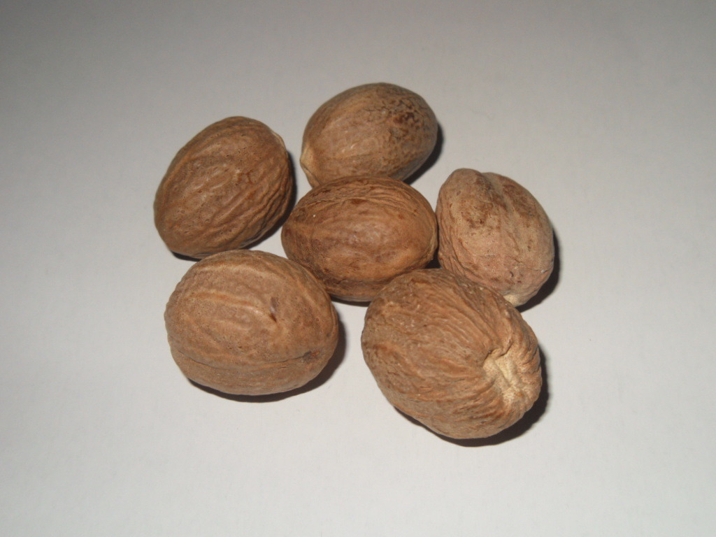 Myristica Fragans (Nutmeg) Organic Whole Nuts