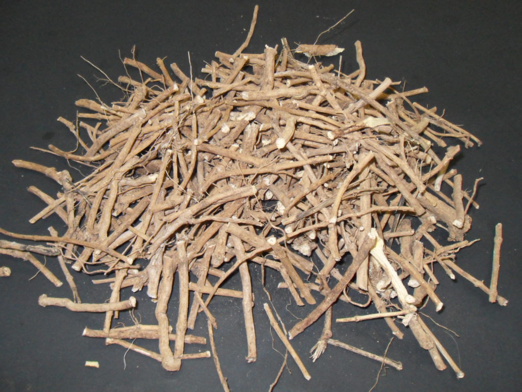 Silene Capensis (African Dream Root) Root Pieces