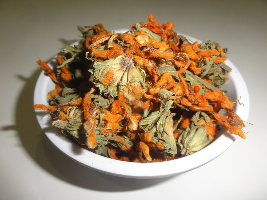 Premium Wild Dagga Flowers World Seed Supply