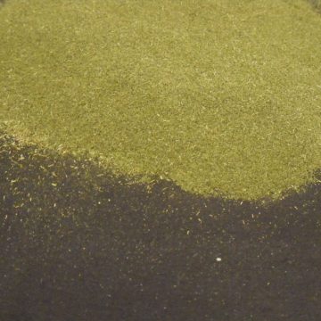 Eriodictyon Californicum (Yerba Santa) Wildharvested Leaf Powder