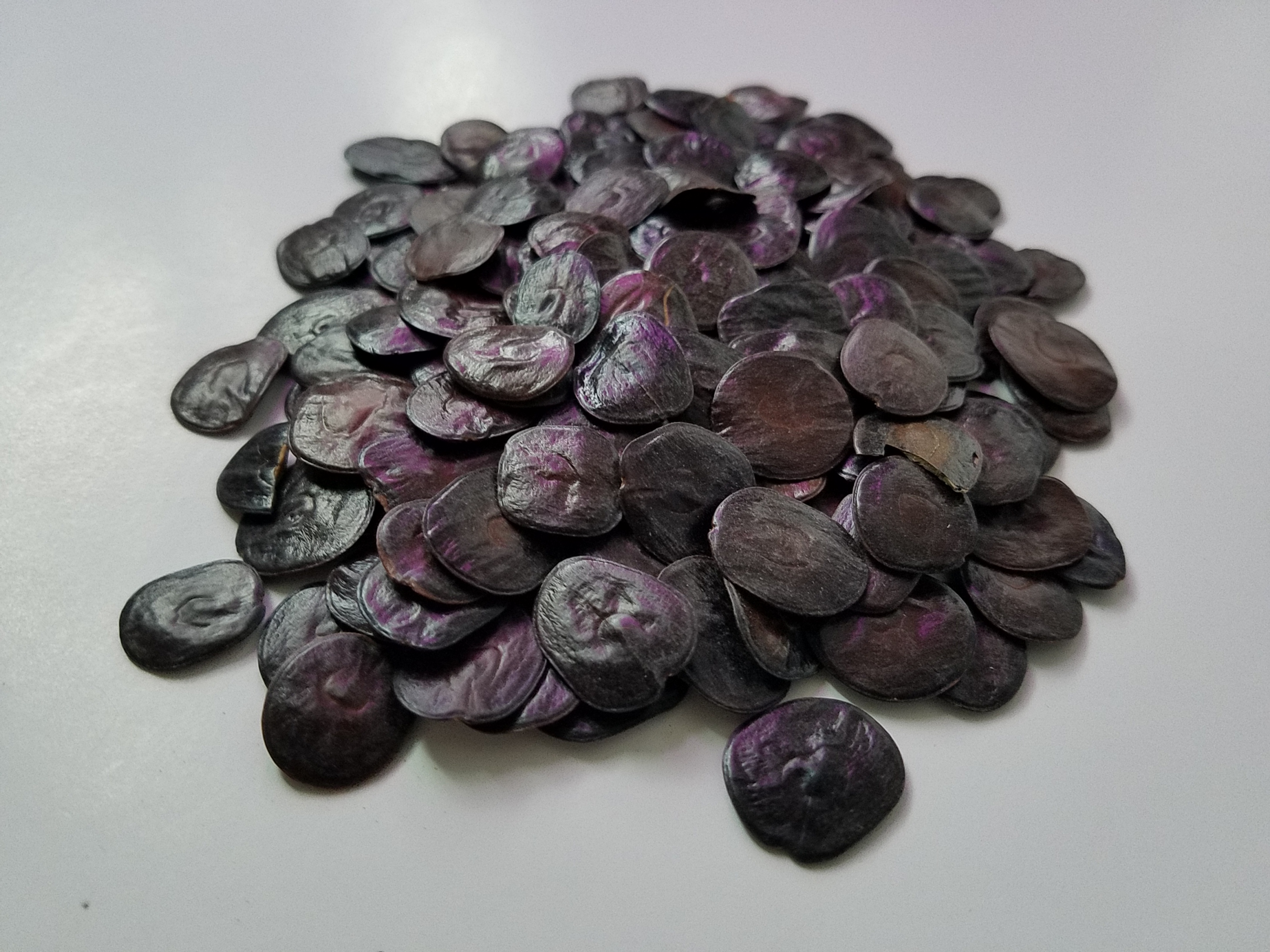 Anadenanthera Colubrina (Cebil) seeds | World Seed Supply