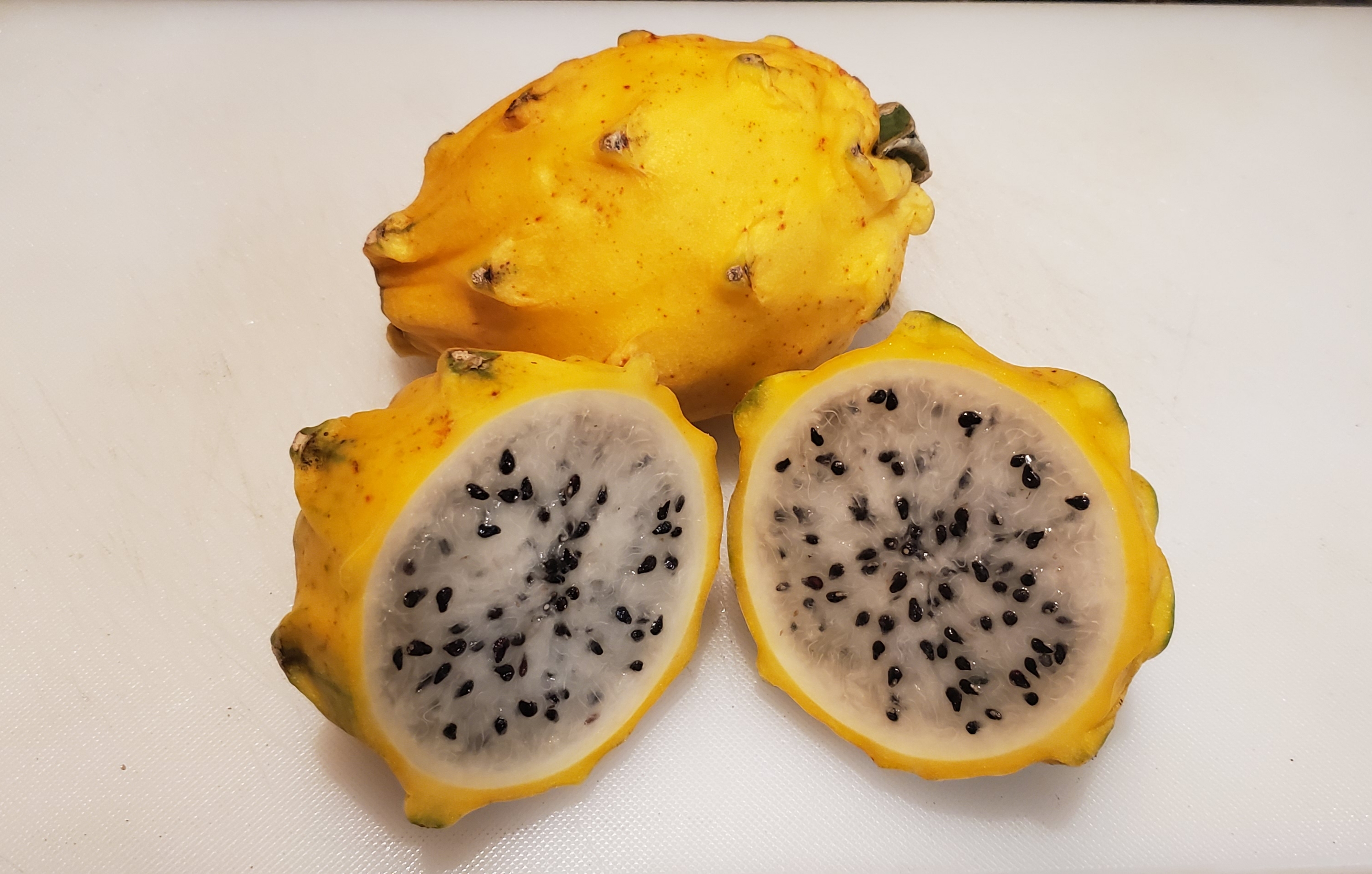 Yellow Dragon Fruit 1gal